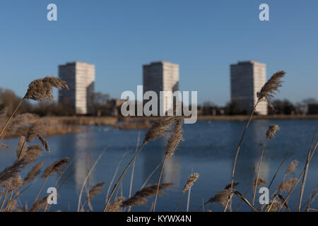 Londres, Royaume-Uni. 17 Jan, 2018. Beau matin d'hiver ensoleillé dans le nord de Londres. Vue sur Woodberry zones humides d'La tour de blocs reflète dans l'eau. Credit : Carol Moir/ Alamy Live News. Banque D'Images