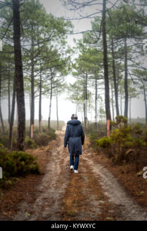 Femme marche à travers une forêt dans le brouillard. Banque D'Images