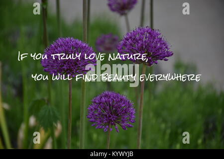 Si vous aimez vraiment la nature, vous trouverez la beauté partout Banque D'Images