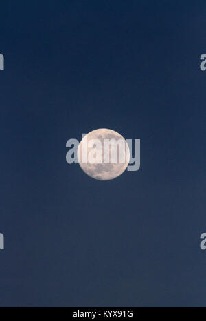 Pleine lune dans le crépuscule soir près de Victoria Falls au Zimbabwe. Banque D'Images