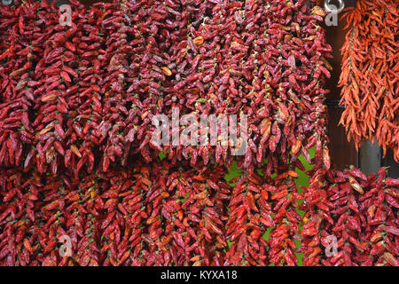 Red Chili Peppers hanging on a market stall, le Mercado DOS Lavradores, Funchal, Madeira, Portugal Banque D'Images