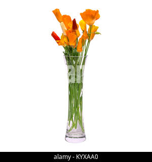 Un bouquet de fleurs de printemps orange dans un verre vase transparent est isolé sur fond blanc Banque D'Images