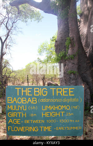 Information Board ; aobab, réserve privée de Victoria Falls, Zimbabwe. Banque D'Images