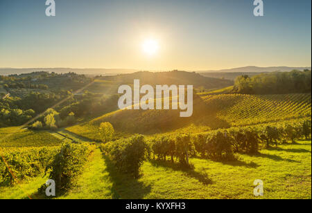 Vue panoramique sur campagne et vignobles du Chianti Vernaccia de San Gimignano sur le lever du soleil. La Toscane, Italie, Europe. Banque D'Images