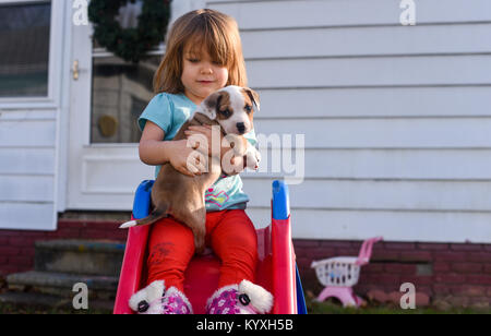 Un bébé fille est titulaire d'un chiot beagle sur une diapositive rouge en été. Banque D'Images