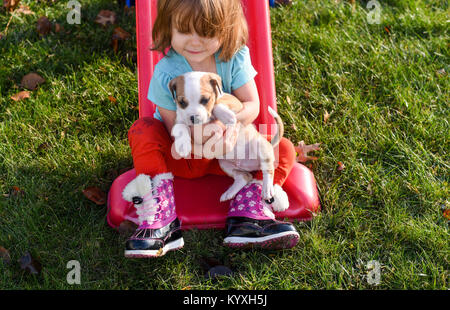 Un bébé fille est titulaire d'un chiot beagle sur une diapositive rouge en été. Banque D'Images