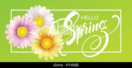 Fond de fleurs Daisy et bonjour printemps lettrage. Vector Illustration Illustration de Vecteur