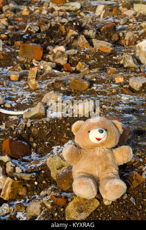 Triste Photo : ours en peluche d'un enfant gauche sur un tas de débris Banque D'Images