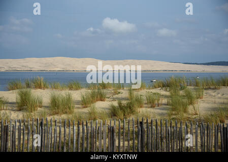 La Dune du Pilat vu de la plage de la pointe de lege Cap-Ferret, Gironde, France, Europe, Nouvelle-Aquitaine Banque D'Images