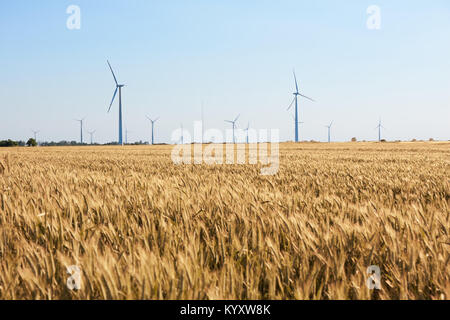 Wind turbine entre les oreilles d'or de cultures de céréales. La turbine éolienne est respectueux de l'environnement source d'énergie. La récolte de blé les oreilles. Les cultures se sont réunis Banque D'Images