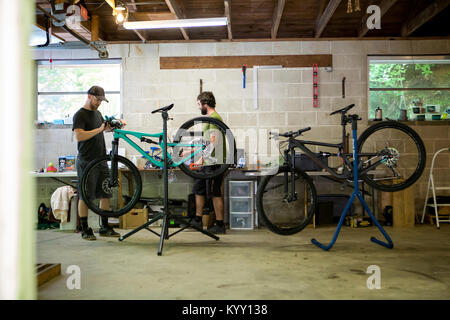 Mécaniciens travaillant dans magasin de bicyclettes Banque D'Images