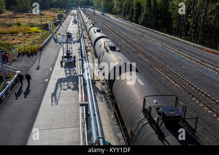 Portrait de train de fret sur les voies ferrées au cours de journée ensoleillée Banque D'Images