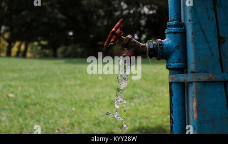 Gros plan d'eau de robinet métal contre grassy field at yard Banque D'Images