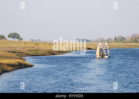 Croisière en bateau et de la faune sauvage safari sur la rivière Chobe au Botswana, Namibie, Afrique. frontière Le Parc National de Chobe, célèbre wildlilfe réserver voyage haut de gamme et dest Banque D'Images