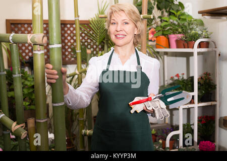 Fleuriste féminins positifs portant un tablier et heureusement l'article parmi les plantes avec des outils en boutique de fleurs Banque D'Images