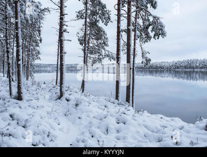 Paysage d'hiver glacial avec arbres et lac paisible au soir en Finlande Banque D'Images