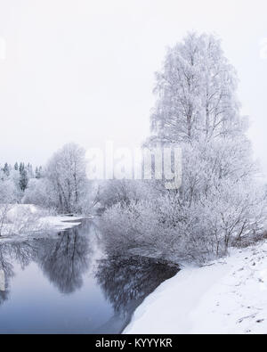 Paysage d'hiver glacial avec arbres et rivière paisible au soir en Finlande Banque D'Images