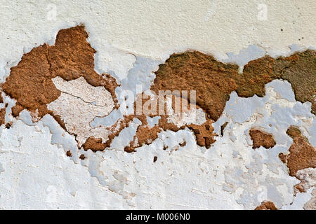 Close up de moisissure verte et de l'épluchage et peinture écaillée à cause de l'humidité ascensionnelle et manque d'entretien sur mur extérieur Banque D'Images