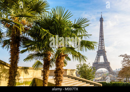Vue sur la Tour Eiffel depuis les jardins du Trocadéro avec des palmiers au premier plan par un après-midi d'hiver ensoleillé. Banque D'Images