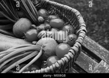 Close-up de betterave et cucamelons avec tomates et carottes dans un panier en osier sur un banc de jardin rustique - traitement monochrome Banque D'Images