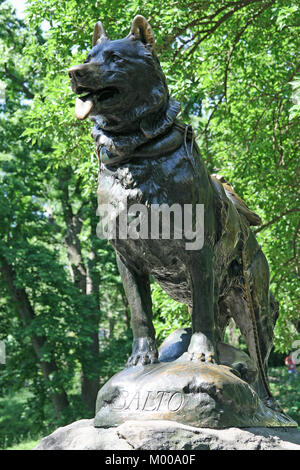 Statue de lion, célèbre jet black héroïque Siberian husky chien de traîneau, Manhattan, New York City, New York Statue, USA. Banque D'Images