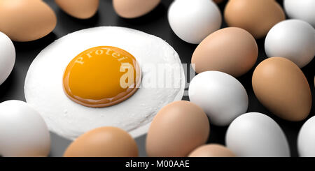 Les oeufs et les protéines mot écrit sur un œuf frit's jaune. 3d illustration Banque D'Images