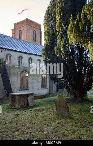 Yew Tree et pierres tombales à l'arrière de l'église dans le Suffolk Grundisburgh Banque D'Images