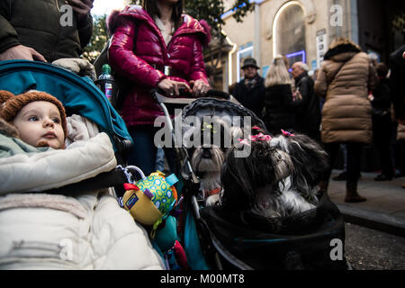 Madrid, Espagne. 17 Jan, 2018. Les chiens sont menées pour obtenir béni dans l'église de San Anton lors de la fête de Saint Antoine Abbé, saint patron des animaux domestiques, à Madrid, Espagne. Credit : Marcos del Mazo/Alamy Live News Banque D'Images