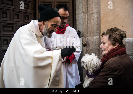 Madrid, Espagne. 17 Jan, 2018. Un prêtre bénissant un chien à San Anton Eglise pendant la célébration de Saint Antoine l'Abbé, saint patron des animaux domestiques, à Madrid, Espagne. Credit : Marcos del Mazo/Alamy Live News Banque D'Images