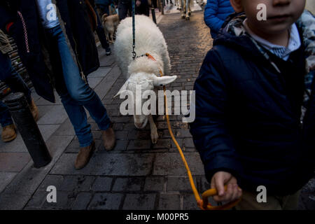 Madrid, Espagne. 17 Jan, 2018. Jour de San Anton, patron des animaux à Madrid.17 janvier 2018 Crédit : Gtres información más Comuniación sur ligne, S.L./Alamy Live News Banque D'Images