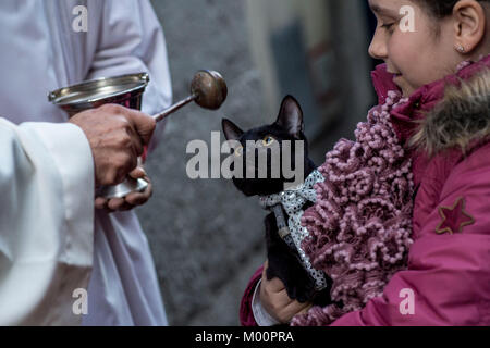 Madrid, Espagne. 17 Jan, 2018. Jour de San Anton, patron des animaux à Madrid.17 janvier 2018 Crédit : Gtres información más Comuniación sur ligne, S.L./Alamy Live News Banque D'Images