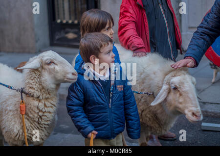 Madrid, Espagne. 17 Jan, 2018. Le festival traditionnel de San Antón a eu lieu dans le quartier de Malasaña, à Madrid, où un cortège sortit de l'Église à travers les rues principales de la région et a terminé avec la bénédiction de centaines d'animaux. Credit : Lora Grigorova/Alamy Live News Banque D'Images