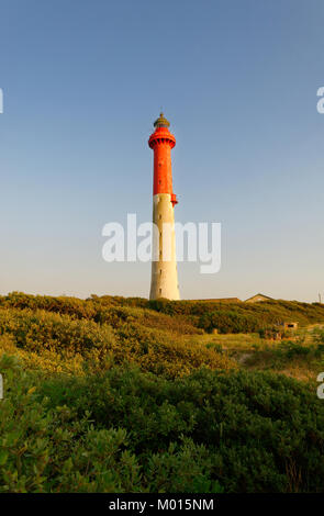 Le phare de la Coubre ou phare de La Coubre, La Tremblade, France Banque D'Images