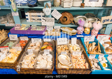 Un écran de petits coquillages de décoration pour la vente dans un marché couvert à Whitby North Yorkshire Angleterre Banque D'Images