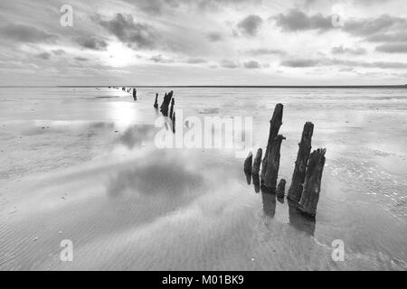 Image en noir et blanc de paysage des plaines de boue d'un ciel partiellement obscurci, qui se reflète dans une une mer plate, avec de vieux poteaux en bois patiné. Banque D'Images