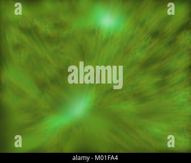 Verdure de l'herbe avec rayons de soleil Banque D'Images