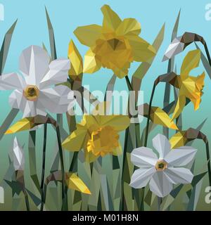 Vecteur de fleurs de narcisses isolés. Illustration de Vecteur