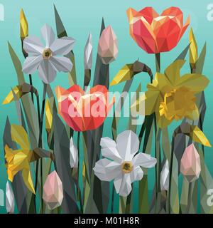 Vecteur de la jonquille et de tulipes fleurs isolées. Illustration de Vecteur