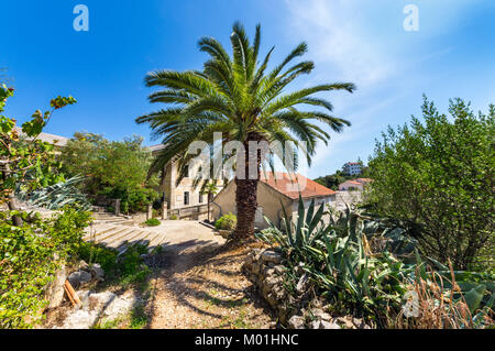 L'été sur Island Iz, Croatie Banque D'Images