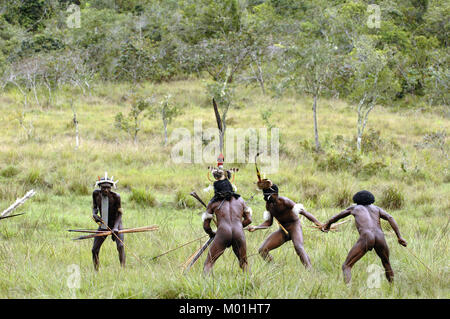 Kizilburun Mabel, le chef de tribu et les gens de Dani Dani tribe effectuant la bataille et lutte de la reconstruction. Juillet 2009, la vallée de Baliem, Indonésien, Banque D'Images