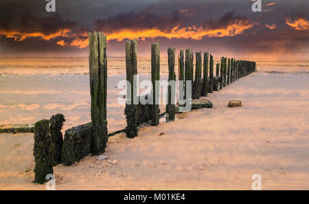 Fiery golden sunset sky au-dessus d'un disjoncteur d'eau en bois, épi la réflexion sur une plage de sable humide, dans la baie de Minnis, Thanet, dans le Kent, UK Banque D'Images