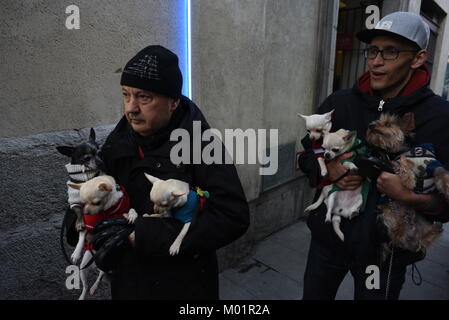 Madrid, Espagne. 17 Jan, 2018. Deux hommes tenir leurs chiens en attente d'être bénie par un prêtre pour marquer le jour de Saint Antoine, dédiée aux animaux par les chrétiens espagnols, à l'extérieur de l'église de San Anton à Madrid. Credit : Jorge Sanz/Pacific Press/Alamy Live News Banque D'Images