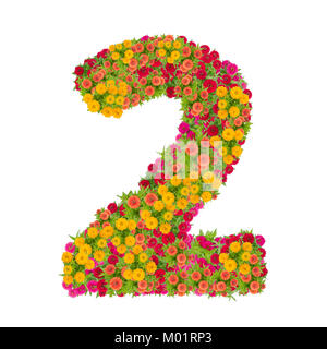 Numéro 2 fait à partir de fleurs Zinnias isolé sur fond blanc.fleur zinnia colorés placés ensemble dans le numéro deux forme avec clipping path Banque D'Images