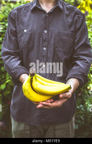 Fruits biologiques. Les mains avec les agriculteurs de fruits fraîchement récoltés. Bananes biologiques fraîches. Banque D'Images