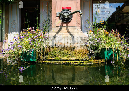 RIQUEWIHR, FRANCE - 11 juillet 2010 : vieille ville de Riquewihr, au printemps de l'eau. Riquewihr est située dans la région Alsace, la ville appartient à l'assoc Banque D'Images