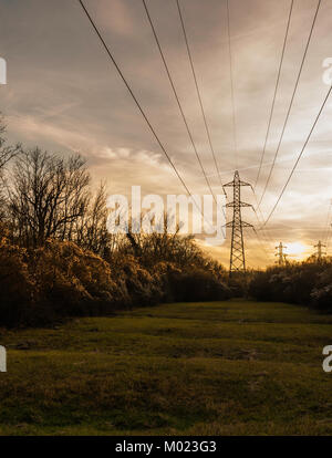 Une ligne électrique à haute tension avec les pylônes et les câbles au coucher du soleil, Alsace, France Banque D'Images