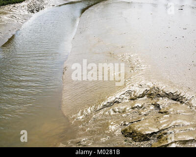 Voyage en France - la banque de boueux de la rivière Jaudy en Côtes-d'Armor de la Bretagne, dans la journée d'été ensoleillée Banque D'Images