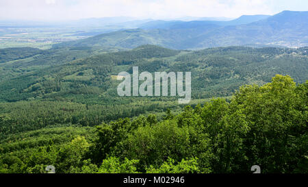 Voyage en France - basse montagne en Forêt-Noire (Schwarzwald), Foret-Noire en bois massif des Vosges en Alsace Banque D'Images