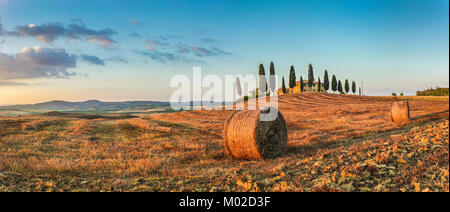 Vue panoramique de la belle Toscane paysage avec ferme traditionnelle et bottes de foin dans la lumière du soir d'or, Val d'Orcia, Italie Banque D'Images