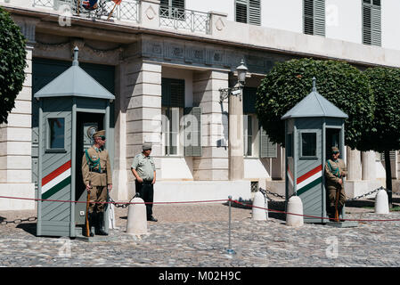 Budapest, Hongrie - le 14 août 2017 : soldats qui gardaient le palais présidentiel dans le château de Buda Banque D'Images